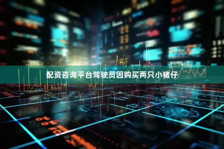 配资咨询平台驾驶员因购买两只小猪仔