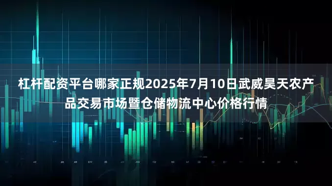 杠杆配资平台哪家正规2025年7月10日武威昊天农产品交易市场暨仓储物流中心价格行情