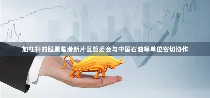 加杠杆的股票临港新片区管委会与中国石油等单位密切协作