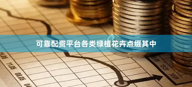 可靠配资平台各类绿植花卉点缀其中