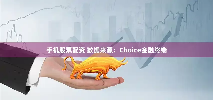手机股票配资 数据来源：Choice金融终端